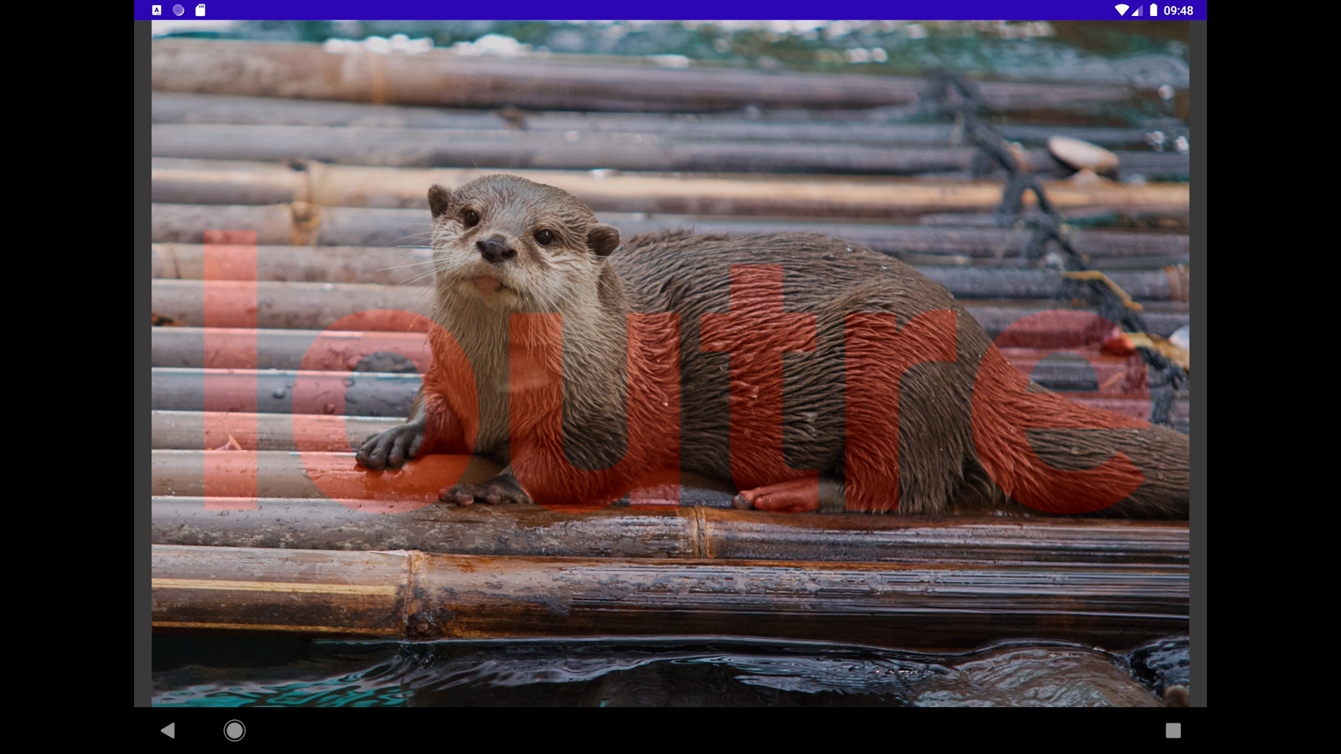 loutre allongée avec le mot loutre en transparence